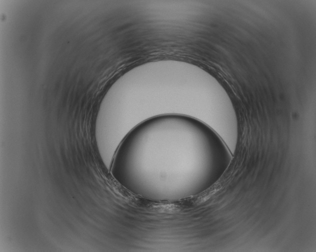 X0000086740428200704130737