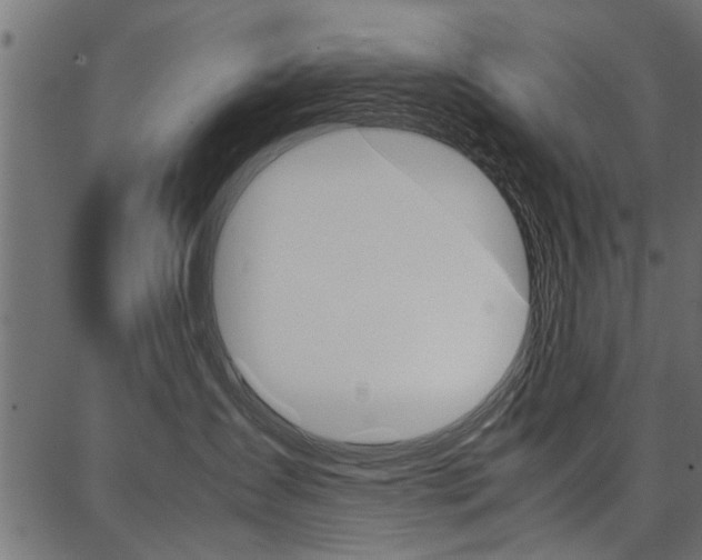 X0000086740431200704130737