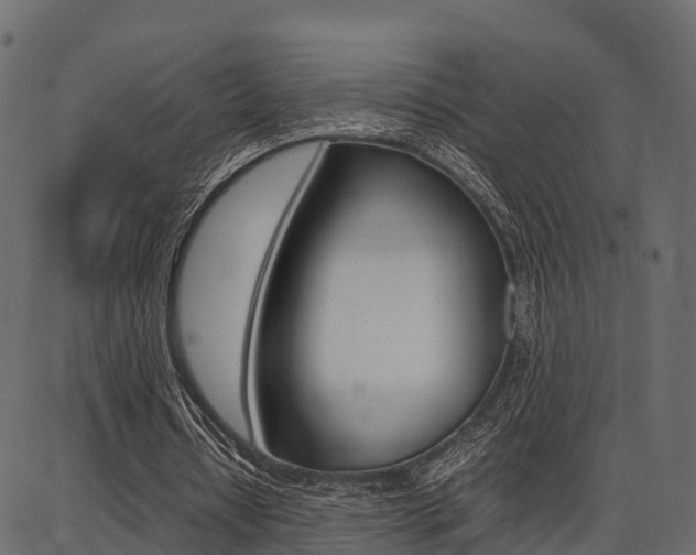 X0000086740434200704130736
