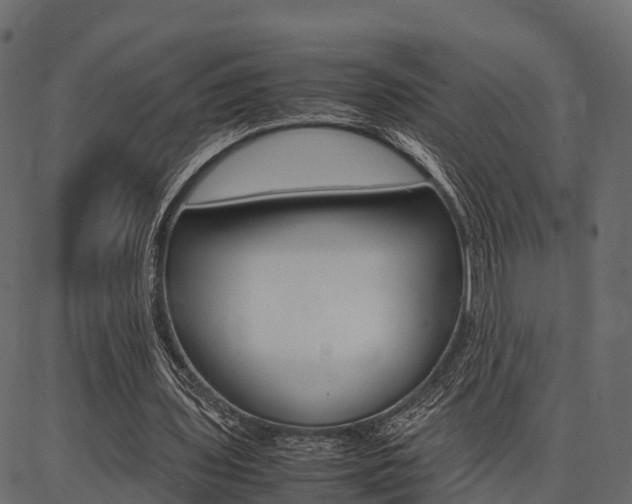 X0000086740435200704130736