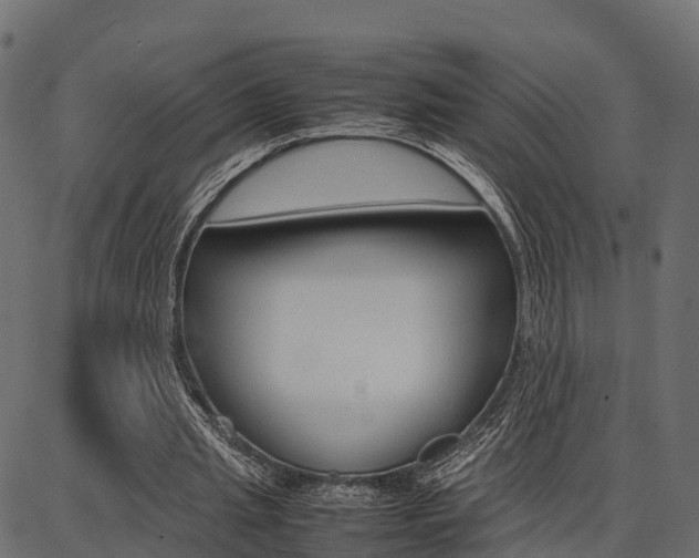 X0000086740437200704130736