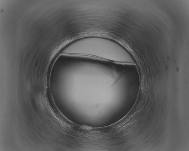 X0000086740438200704130736
