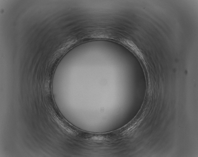 X0000086740441200704130736