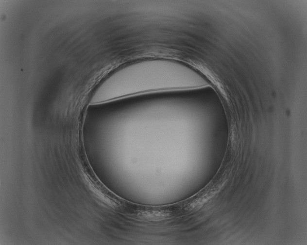 X0000086740445200704130737
