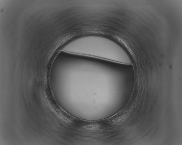 X0000086740447200704130737