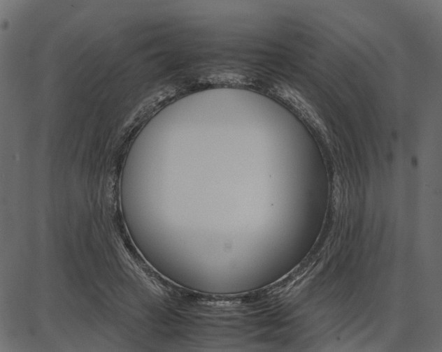 X0000086740449200704130737