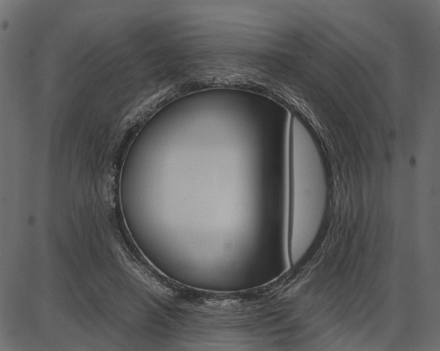 X0000086740450200704130737