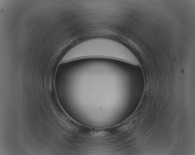 X0000086740452200704130737