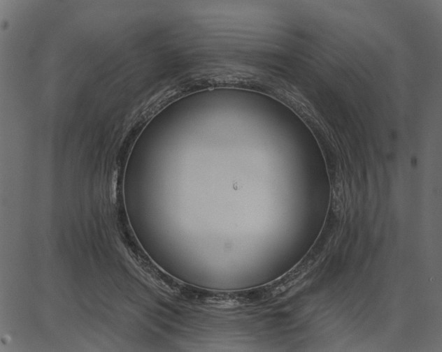 X0000086740454200704130737