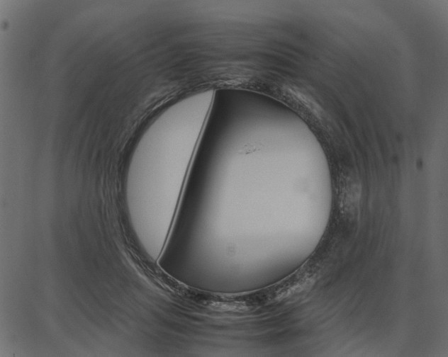 X0000086740455200704130737