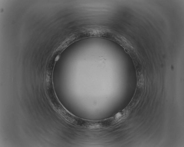 X0000086740456200704130737