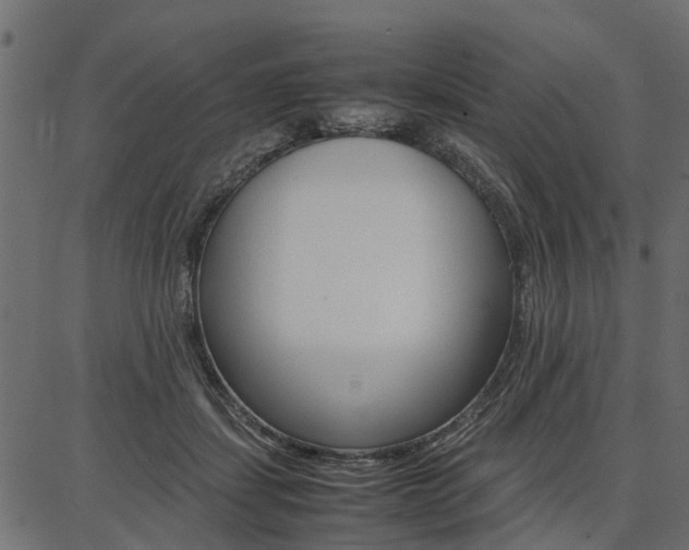 X0000086740459200704130737