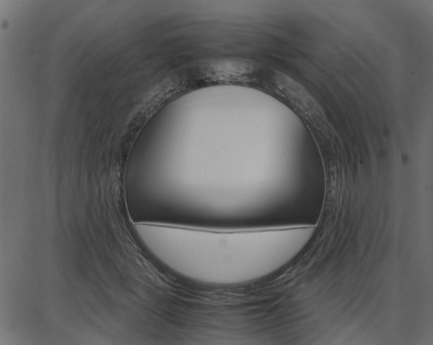 X0000086740461200704130737