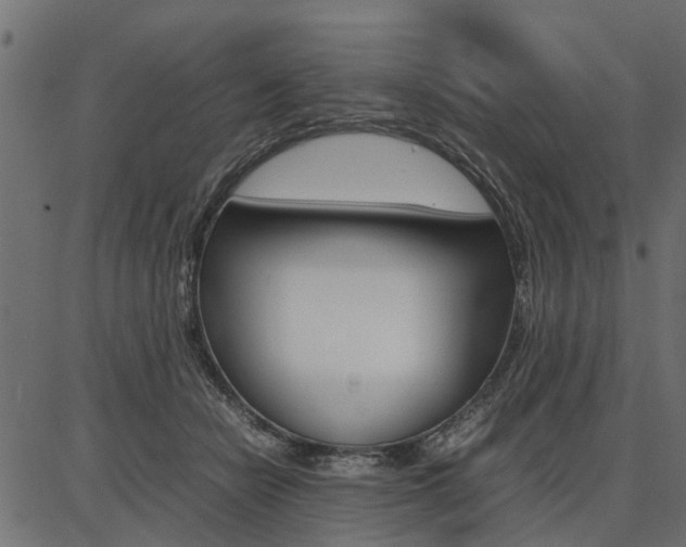 X0000086740462200704130737
