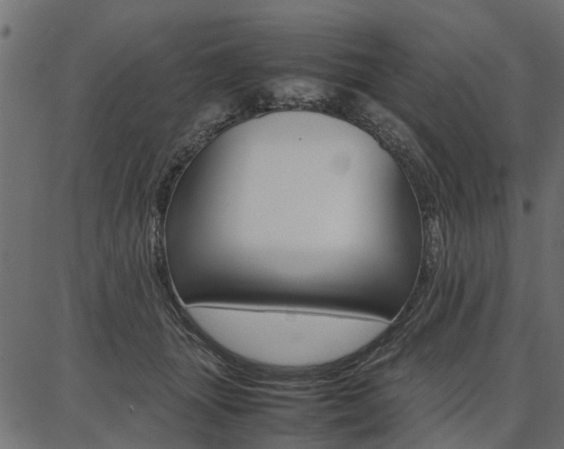 X0000086740463200704130737