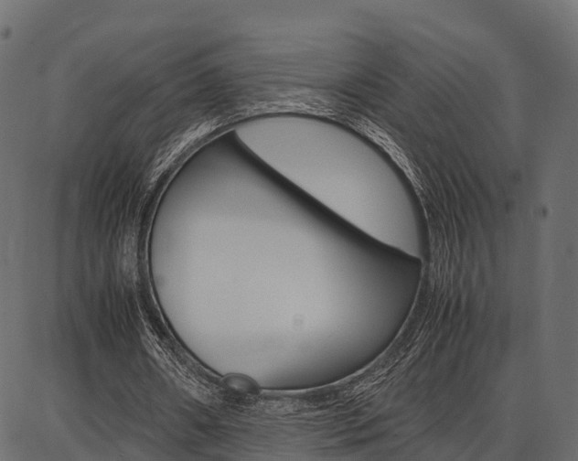 X0000086740482200704130736