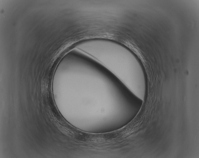 X0000086740483200704130736