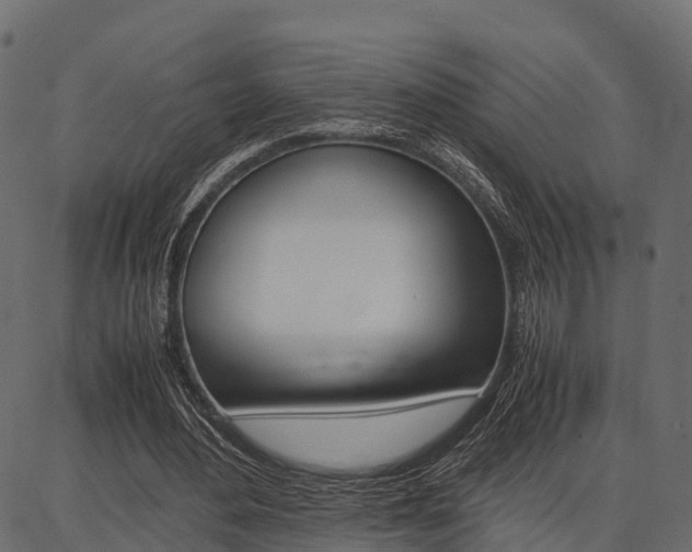 X0000086740484200704130736