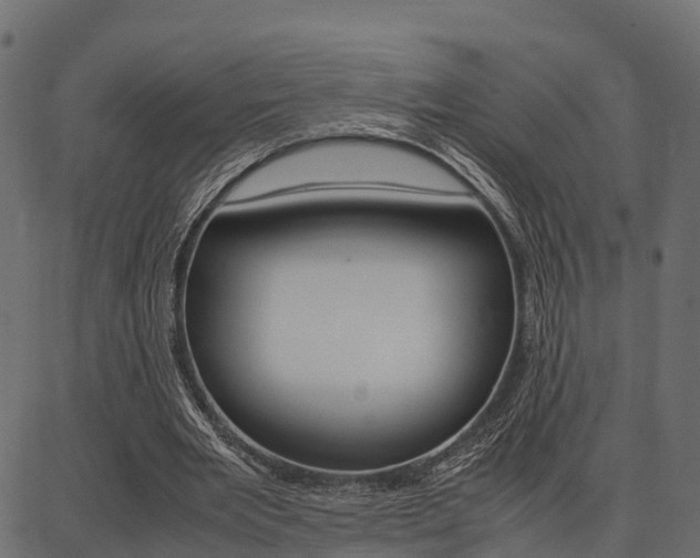 X0000086740485200704130736