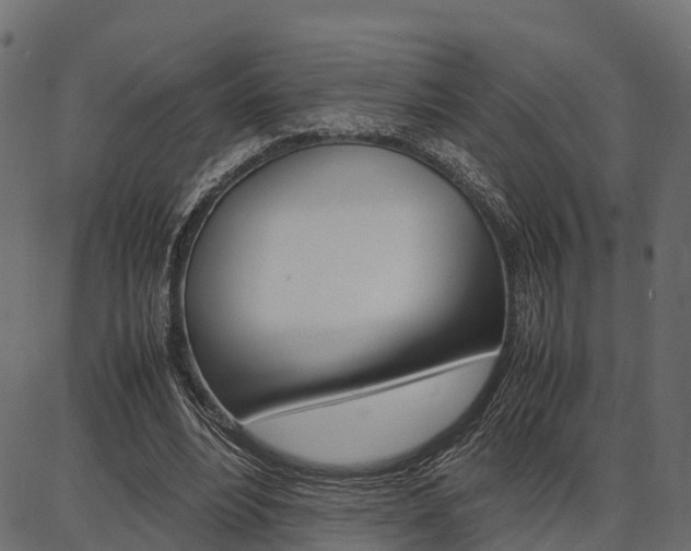 X0000086740488200704130736