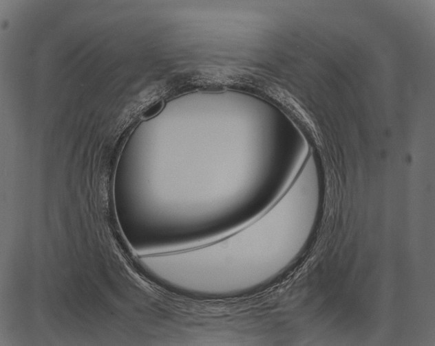 X0000086740489200704130736