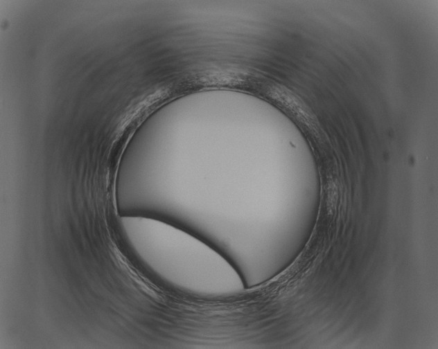 X0000086740490200704130736