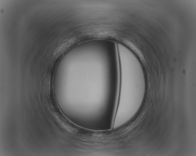 X0000086740493200704130736