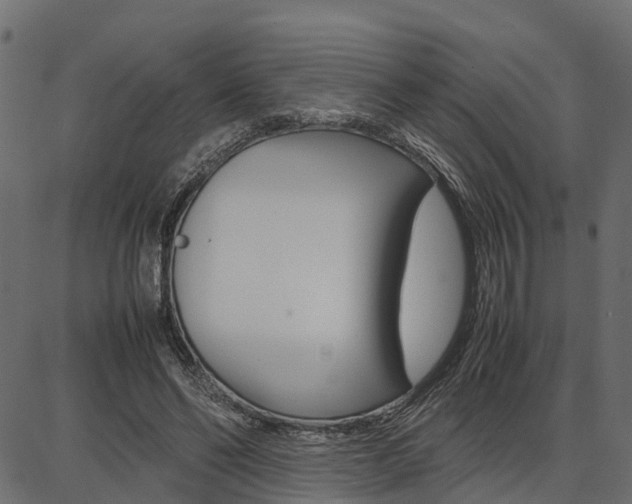 X0000086740494200704130736