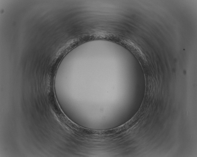 X0000086740496200704130736