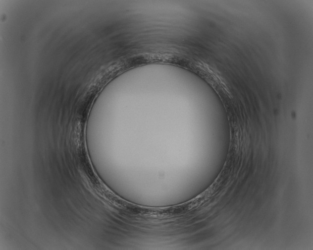 X0000086740498200704130736