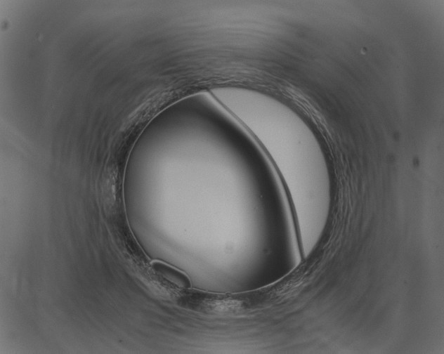 X0000086740501200704130736