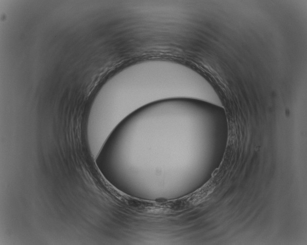 X0000086740504200704130736