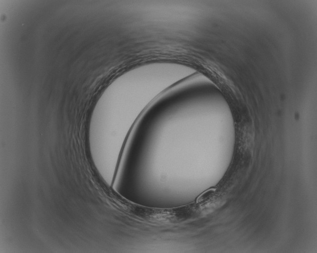 X0000086740505200704130736