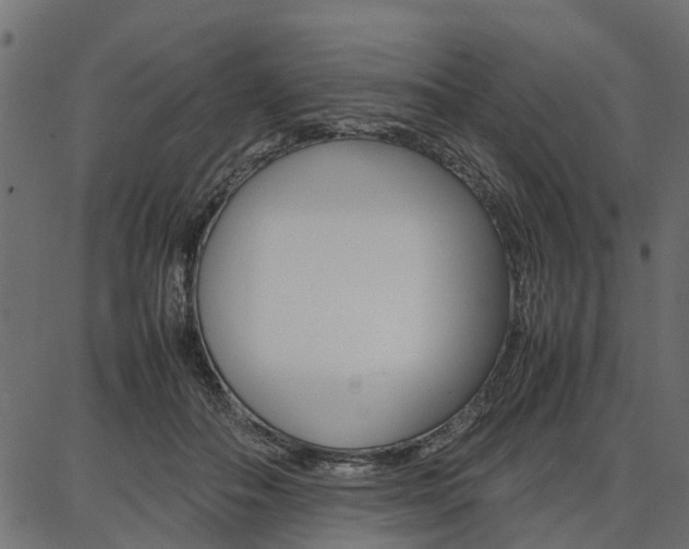 X0000086740506200704130736