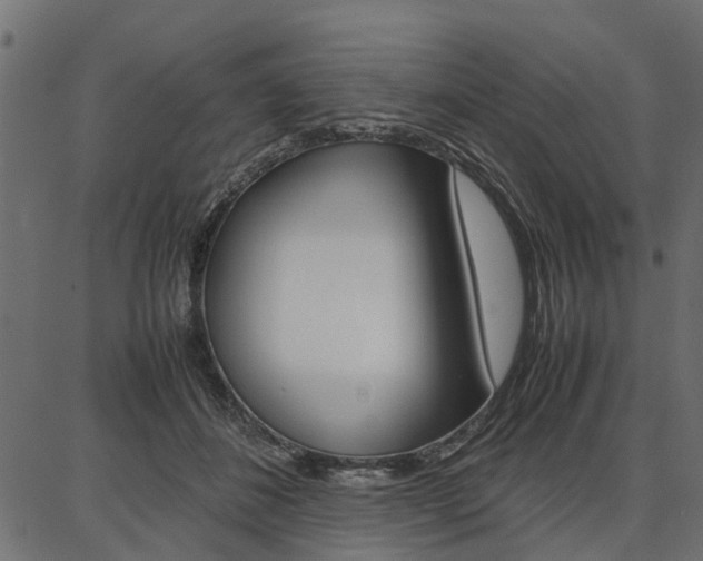 X0000086740508200704130736