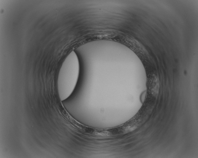 X0000086740510200704130736