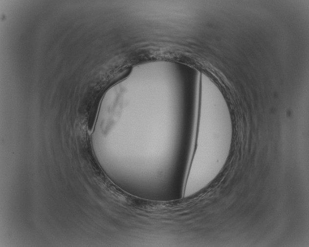 X0000086740513200704130736
