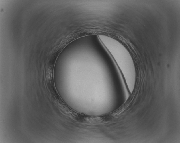X0000086740517200704130736