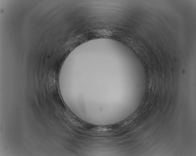 X0000086740518200704130736
