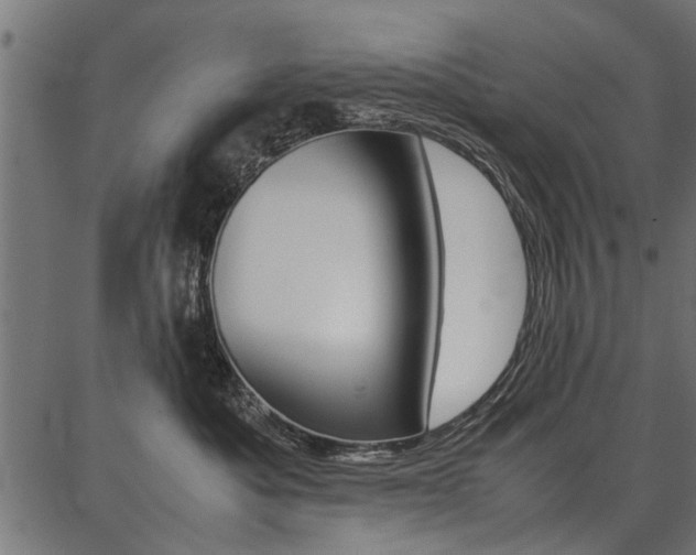X0000086740525200704130736