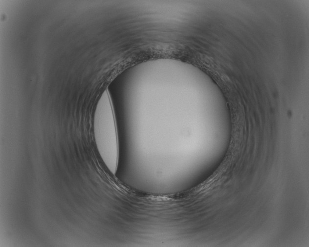 X0000086740528200704130736