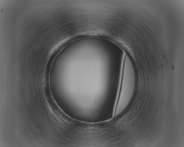 X0000086740536200704130735