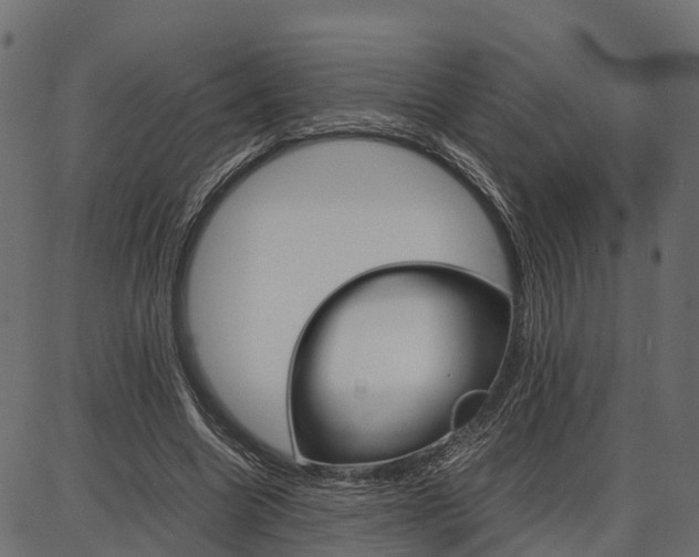 X0000086740538200704130735