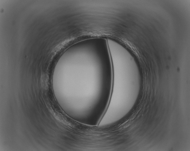X0000086740540200704130735