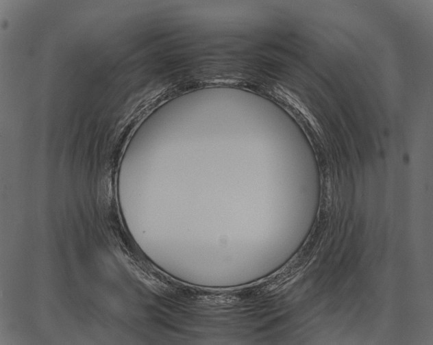X0000086740541200704130735