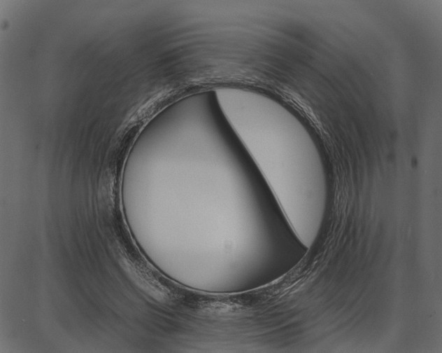 X0000086740542200704130735