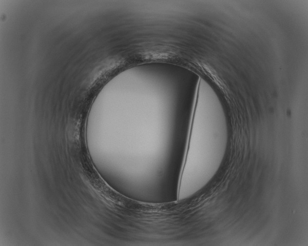 X0000086740543200704130735