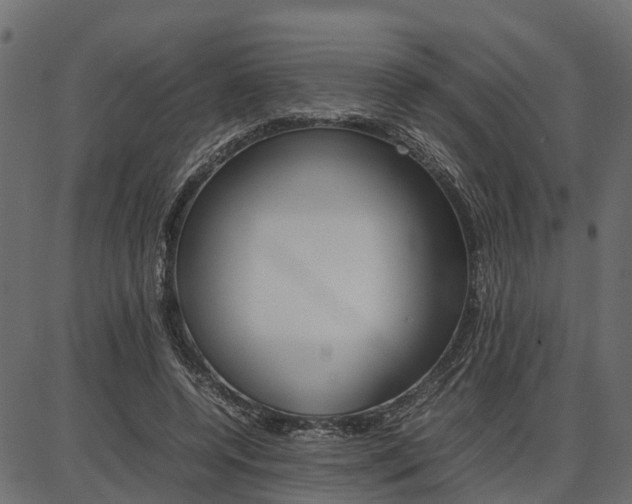 X0000086740544200704130735