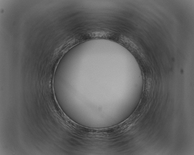 X0000086740545200704130735