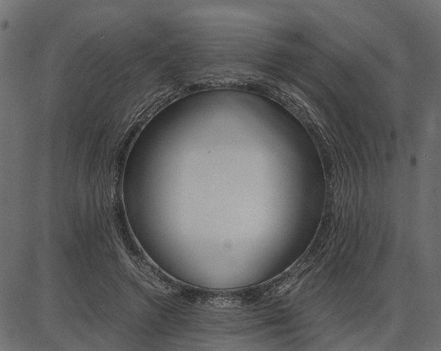 X0000086740546200704130735